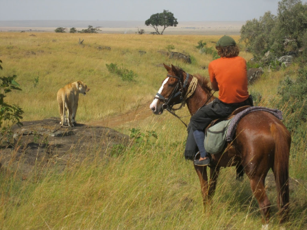 Off Beat African Safari